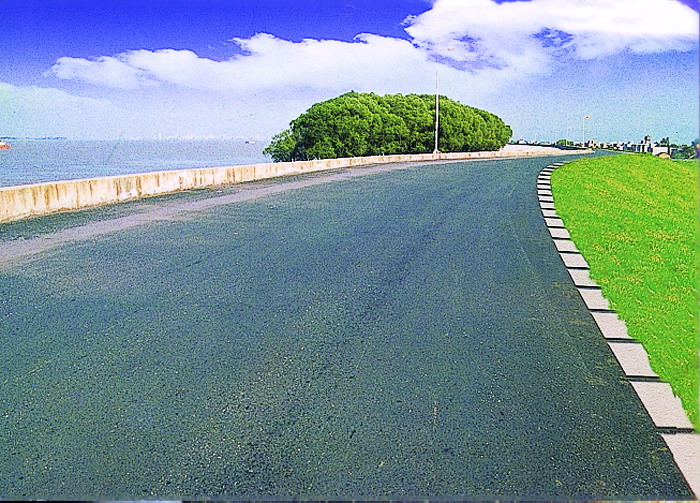 长江遵义段济益公堤顶公路