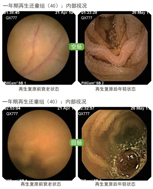 mg冰球突破豪华版(试玩)官方网站