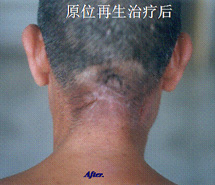 mg冰球突破豪华版(试玩)官方网站