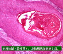 mg冰球突破豪华版(试玩)官方网站