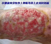 mg冰球突破豪华版(试玩)官方网站
