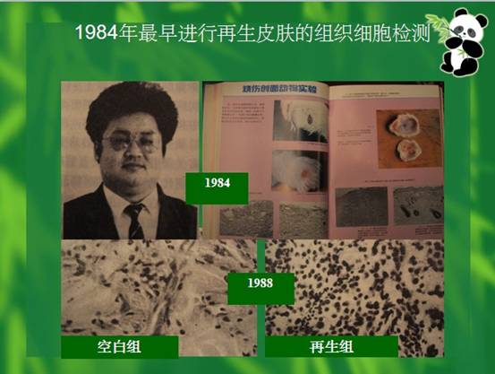 mg冰球突破豪华版(试玩)官方网站