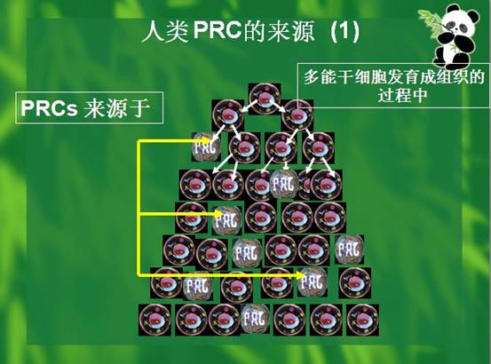 mg冰球突破豪华版(试玩)官方网站