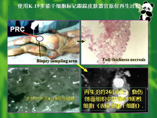 mg冰球突破豪华版(试玩)官方网站