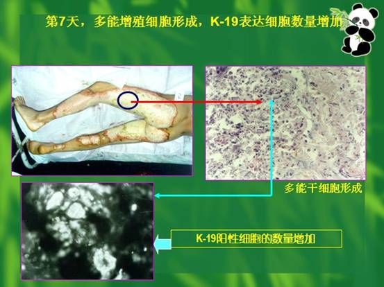mg冰球突破豪华版(试玩)官方网站
