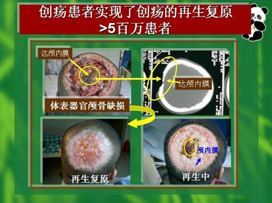 mg冰球突破豪华版(试玩)官方网站