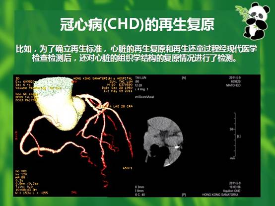 mg冰球突破豪华版(试玩)官方网站