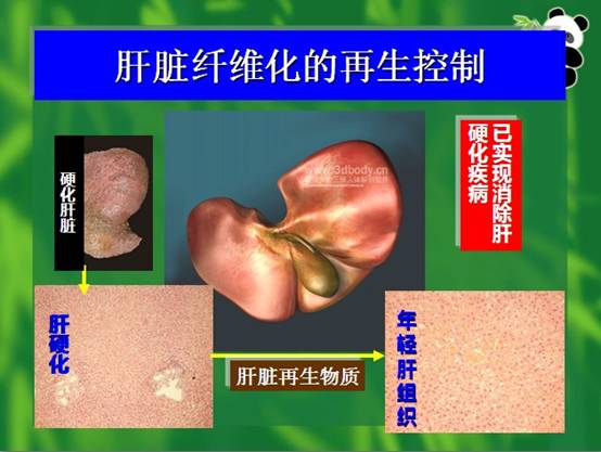 mg冰球突破豪华版(试玩)官方网站