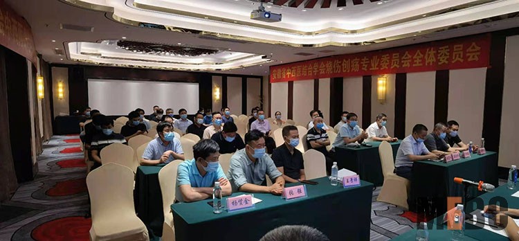 mg冰球突破豪华版(试玩)官方网站