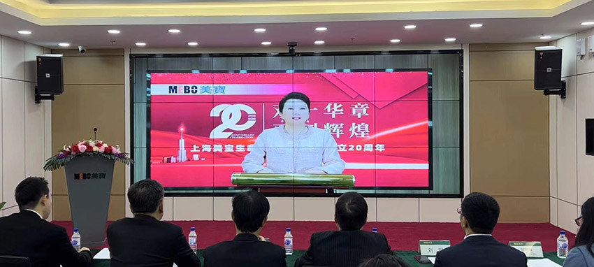 mg冰球突破豪华版(试玩)官方网站