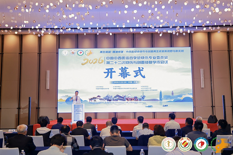 mg冰球突破豪华版(试玩)官方网站
