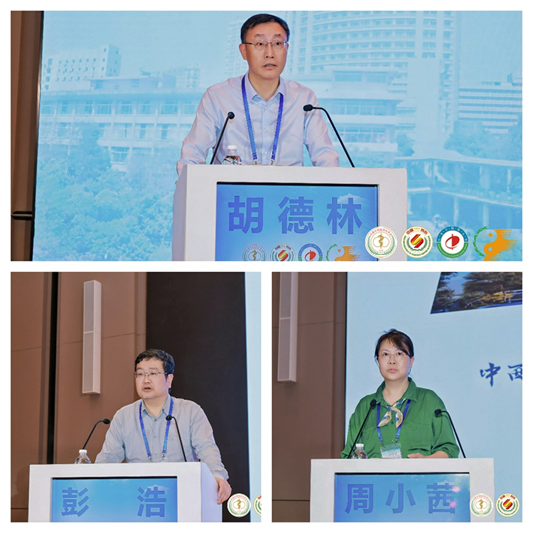 mg冰球突破豪华版(试玩)官方网站