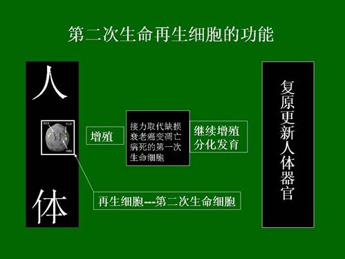 mg冰球突破豪华版(试玩)官方网站