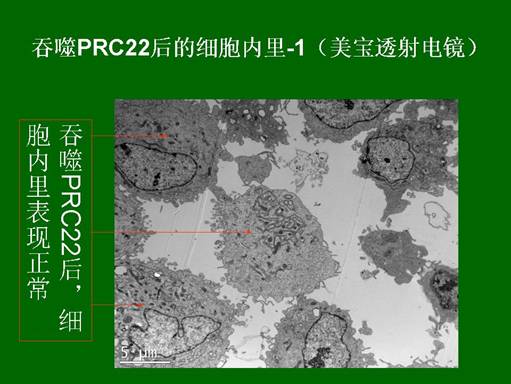 mg冰球突破豪华版(试玩)官方网站