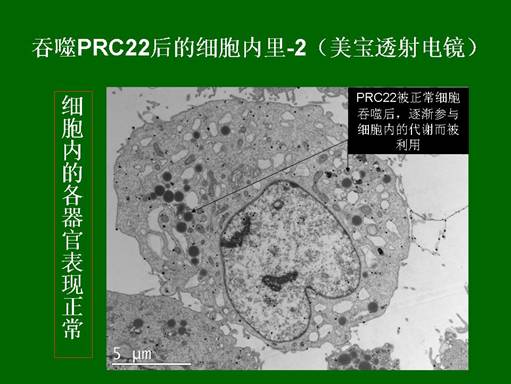mg冰球突破豪华版(试玩)官方网站