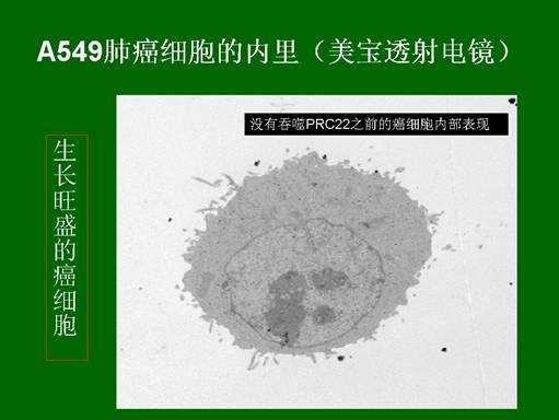 mg冰球突破豪华版(试玩)官方网站
