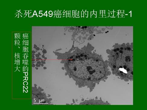 mg冰球突破豪华版(试玩)官方网站