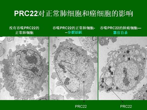mg冰球突破豪华版(试玩)官方网站
