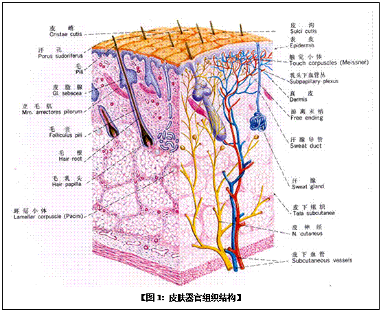 mg冰球突破豪华版(试玩)官方网站