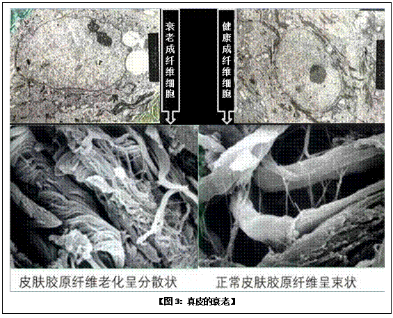 mg冰球突破豪华版(试玩)官方网站