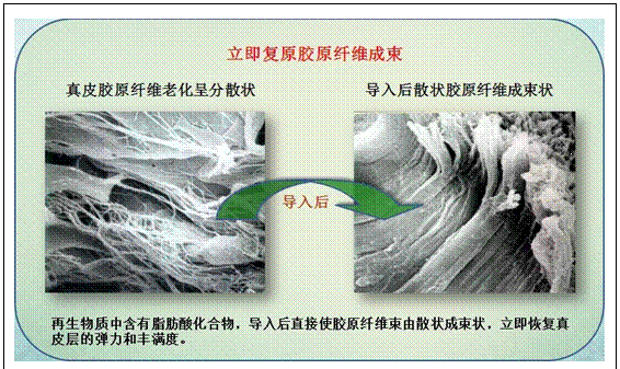 mg冰球突破豪华版(试玩)官方网站