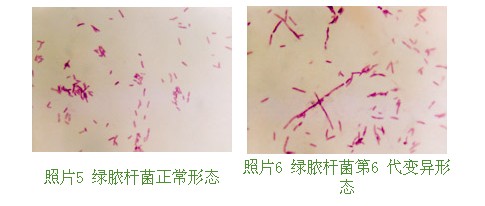 2011218205033273