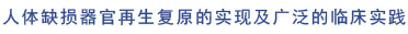 mg冰球突破豪华版(试玩)官方网站