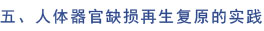 mg冰球突破豪华版(试玩)官方网站