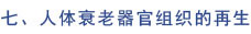 mg冰球突破豪华版(试玩)官方网站